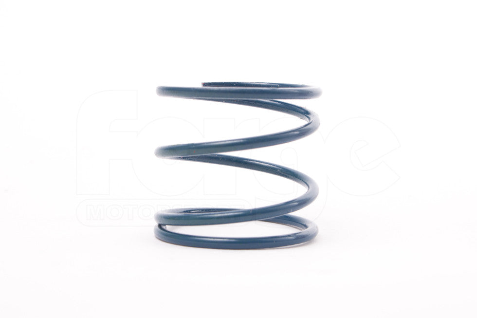 Ford Fiesta MK7 Forge Motorsport Atmospheric Dump Valve-Fiesta-Forge Motorsport-[By Purdue Performance]